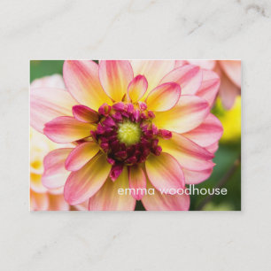 Carte De Visite Dahlia rose, blanc et jaune