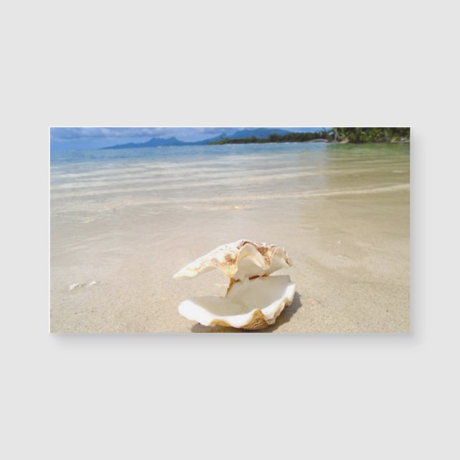 Carte de visite d'aimant de plage de coquillage (Devant)