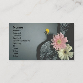 Carte De Visite Daisers