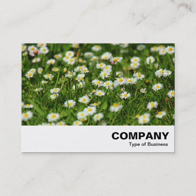 Carte De Visite Daisy Meadow (Devant)