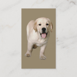 Carte de visite d'amant de labrador retriever