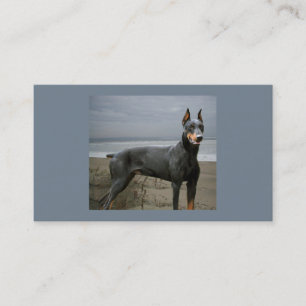 Carte de visite d'amoureux des chiens de Pinscher