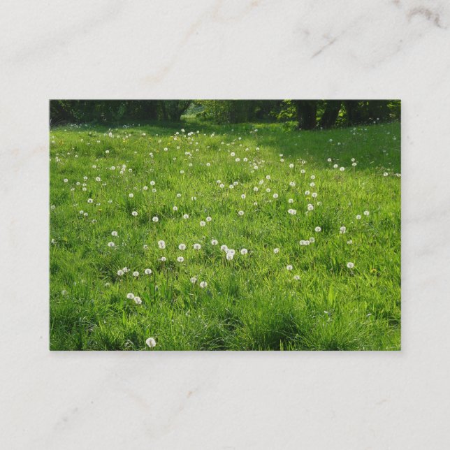 Carte De Visite Dandelion Meadow 01 (Devant)