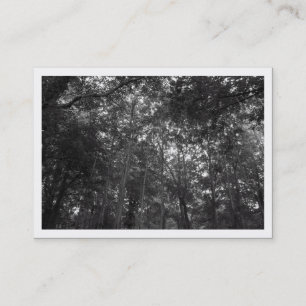 Carte De Visite Dans les arbres, Mini Photo