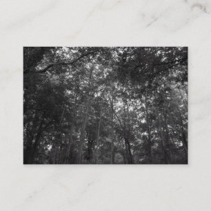 Carte De Visite Dans les arbres, Mini Photo