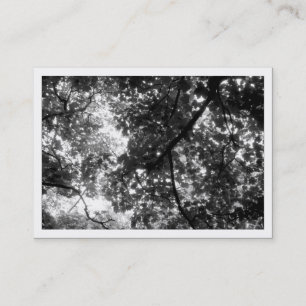 Carte De Visite Dans les arbres, Mini Photo (blanc bordé)