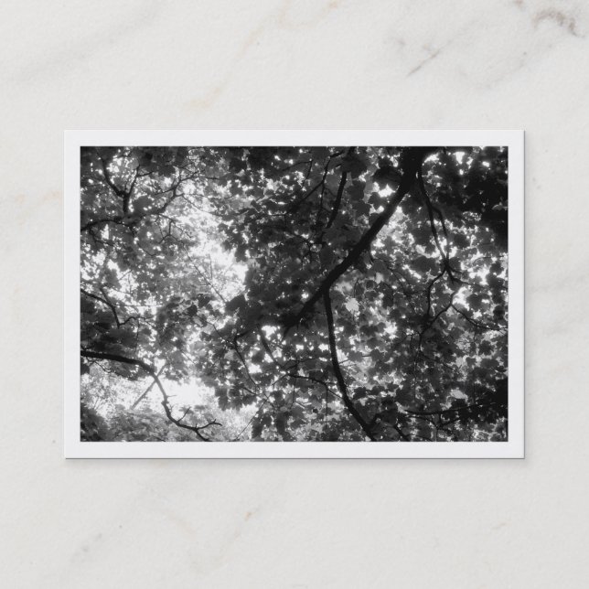 Carte De Visite Dans les arbres, Mini Photo (blanc bordé) (Devant)