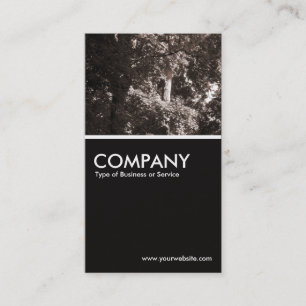 Carte De Visite Dans Les Bois