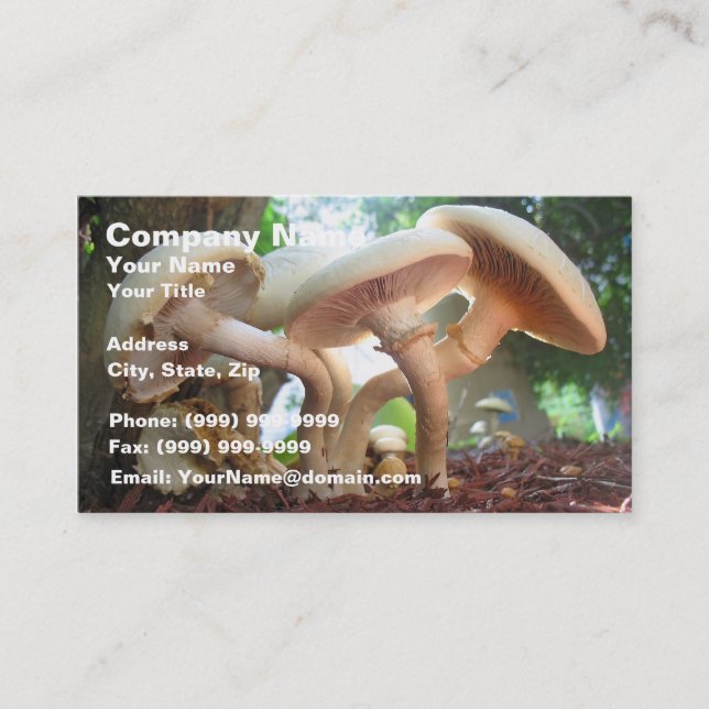 Carte De Visite Danse de champignons (Devant)