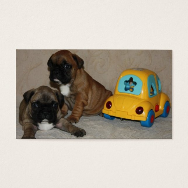 Carte de visite de Bouledogue Français (Devant)