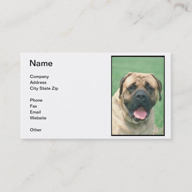Carte de visite de Bullmastiff de faon (Devant)