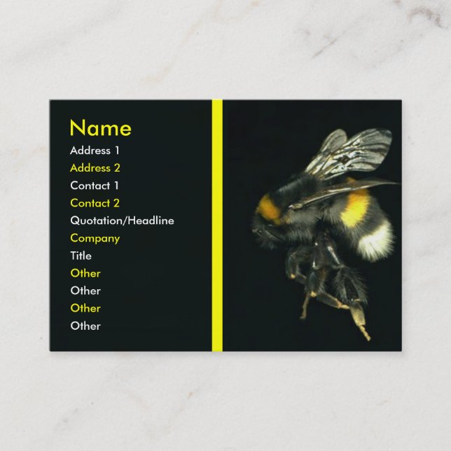 Carte de visite de Bumblebee (Devant)
