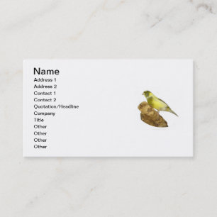 Carte de visite de Canary Breeder
