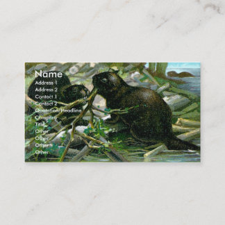 Carte de visite de castor
