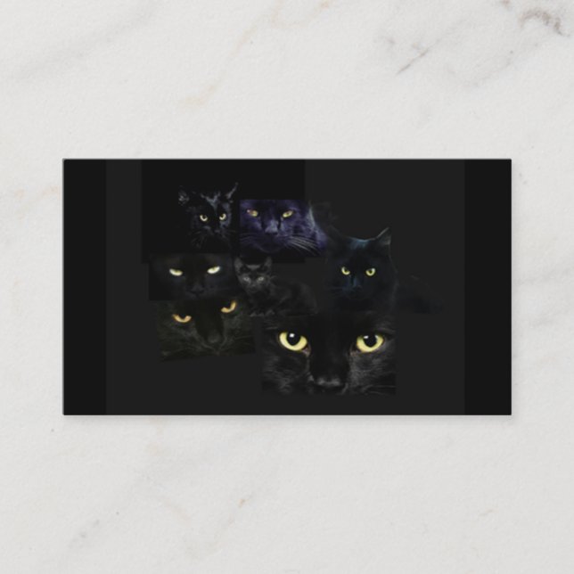 Carte de visite de chats de Scaredy (Devant)
