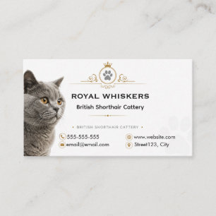 Carte de visite de chatterie British Shorthair per