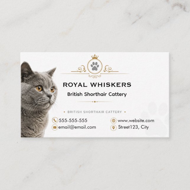 Carte de visite de chatterie British Shorthair per (Devant)