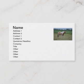 Carte de visite de cheval