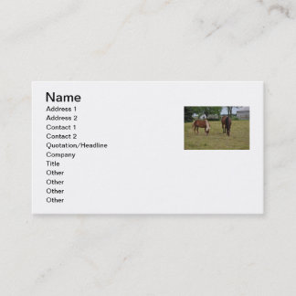 Carte de visite de cheval