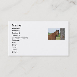 Carte de visite de cheval