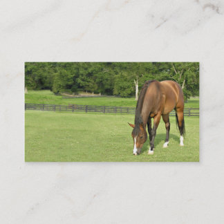 Carte de visite de cheval de baie