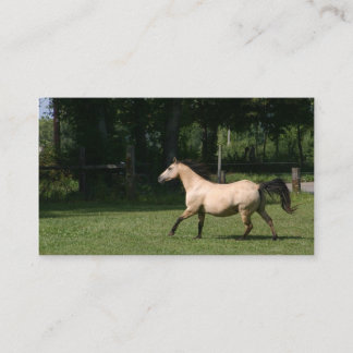 Carte de visite de cheval de peau de daim