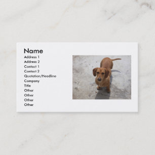 Carte de visite de chien
