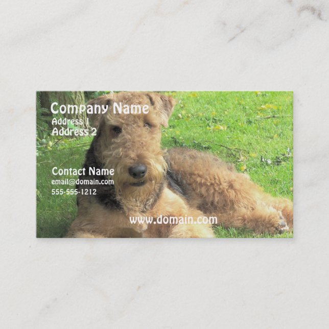 Carte de visite de chien d'Airedale Terrier (Devant)