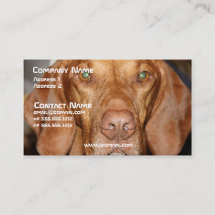 Carte de visite de chien de ragondin