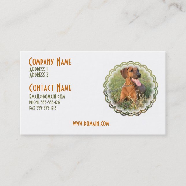 Carte de visite de chien de Rhodesian Ridgeback (Devant)