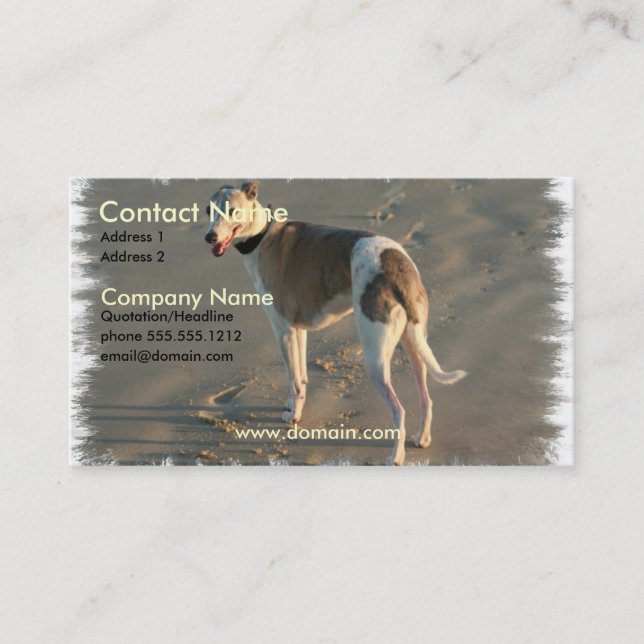 Carte de visite de chien de whippet (Devant)