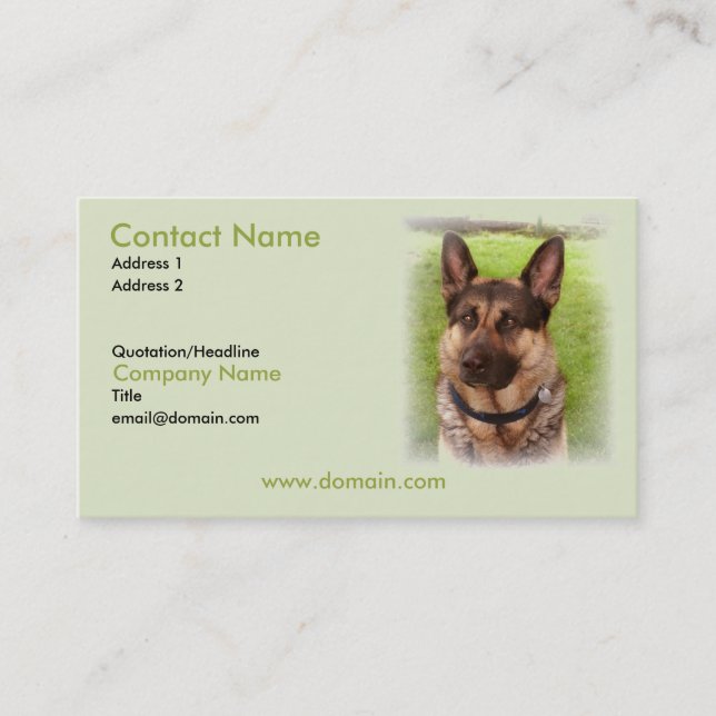 Carte de visite de chiot de berger allemand (Devant)