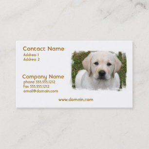 Carte de visite de chiot de golden retriever