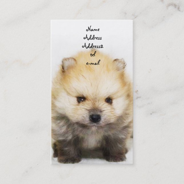 Carte de visite de chiot de Pomeranian (Devant)