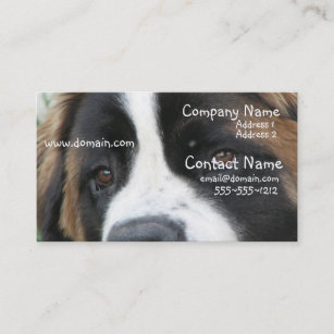 Fournitures De Bureau Chien St Bernard Zazzle Fr