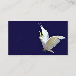 Carte de visite de cockatiel de vol