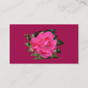 carte de visite de coopération, rose rose