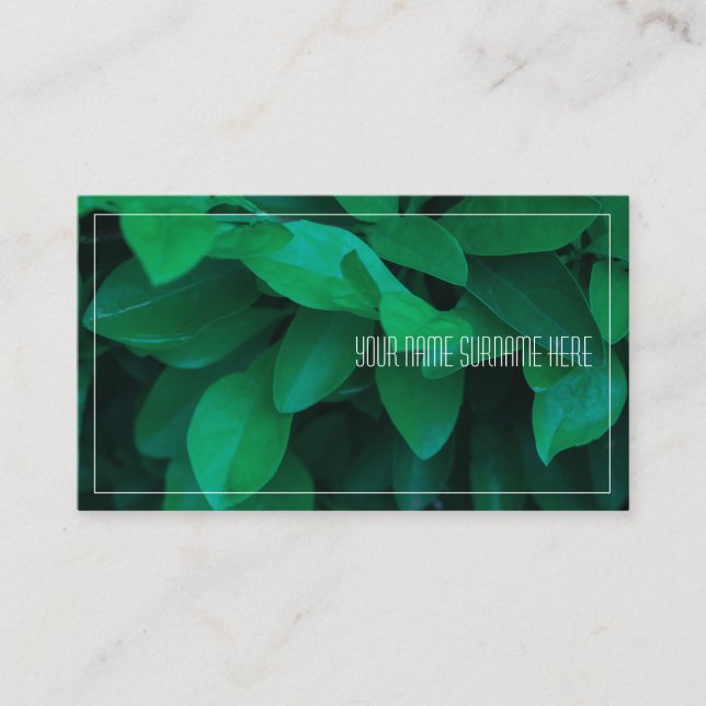 Carte de visite de feuilles de plante vert pâle de (Devant)