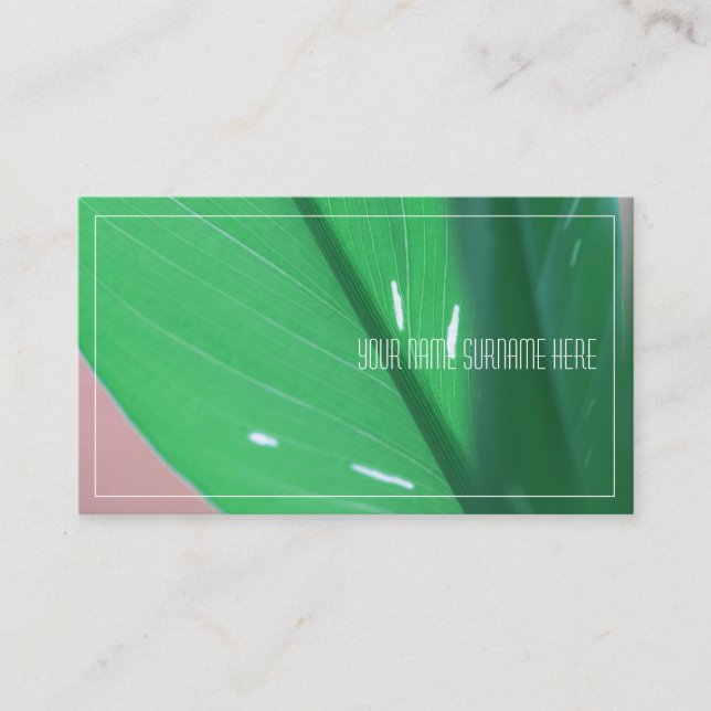Carte de visite de feuilles de plante vert pâle de (Devant)