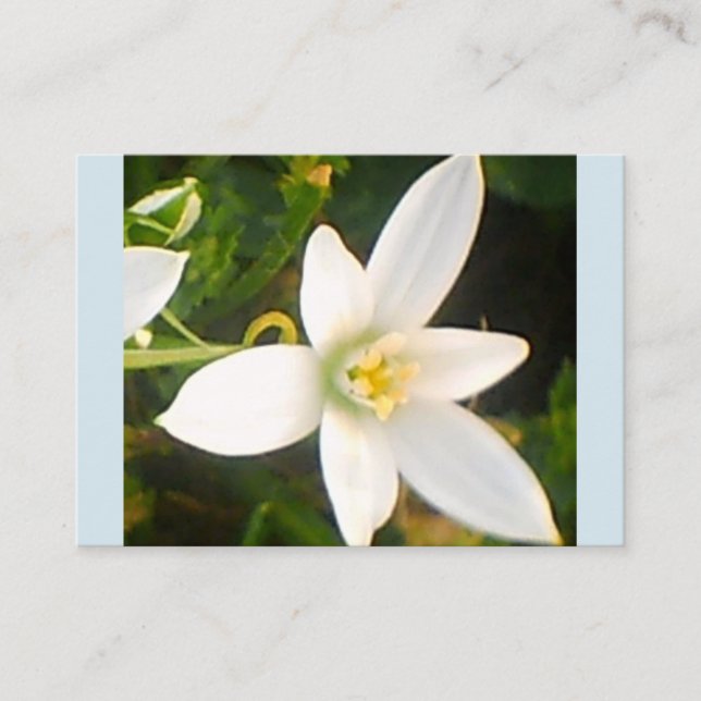 Carte de visite de fleurs blanches du printemps (Devant)