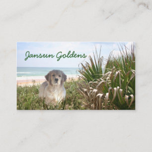 Carte de visite de Jansun Goldens