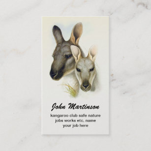 carte de visite de kangourou