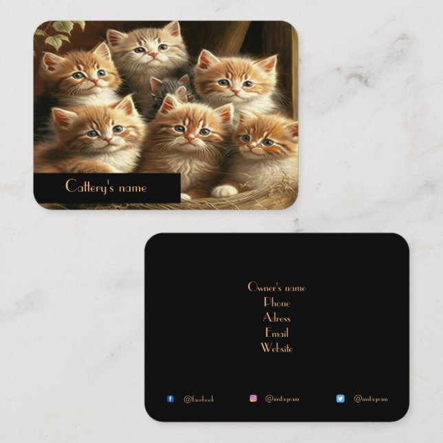 Carte de visite de la batterie personnalisable (Devant / Derrière)