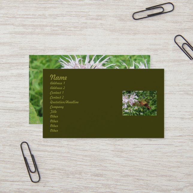 Carte de visite de la Motte de l'oiseau-colibri (Devant/Arrière en situation)