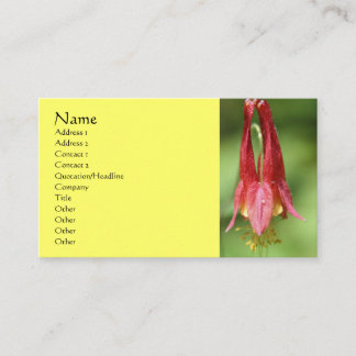 Carte de visite de la photographie à fleur de colo