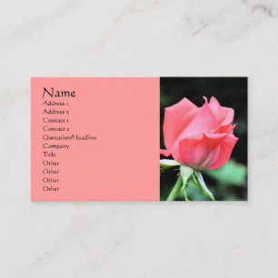 Carte de visite de la photographie rose Rosebud