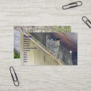 Carte de visite de la série Swallow