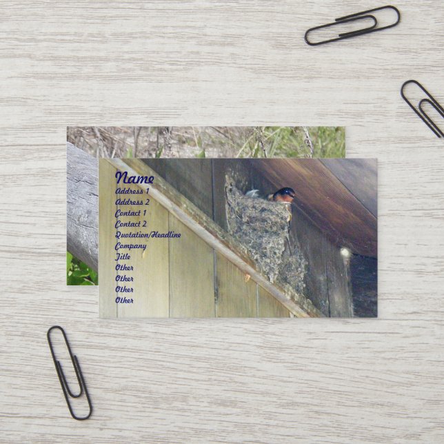 Carte de visite de la série Swallow (Devant/Arrière en situation)