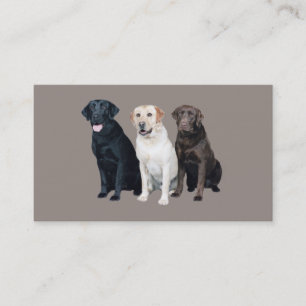 Carte de visite de labrador retriever