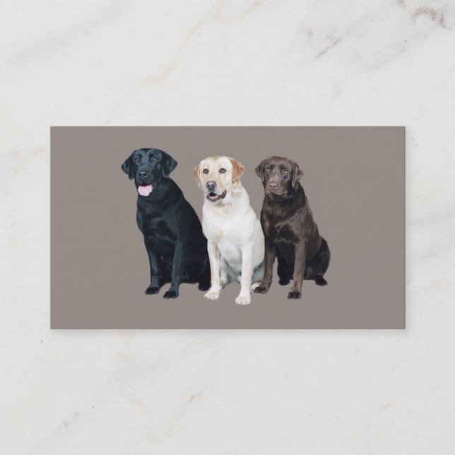Carte de visite de labrador retriever (Devant)